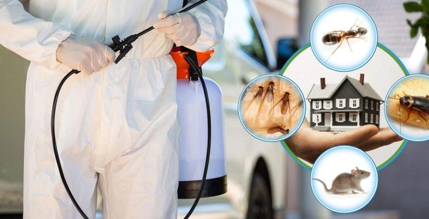 Şişli Böcek İlaçlama