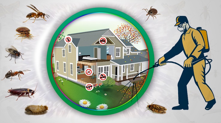 Şişli Böcek İlaçlama