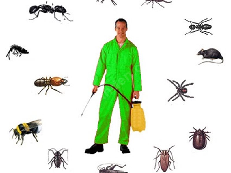 Şişli Böcek İlaçlama